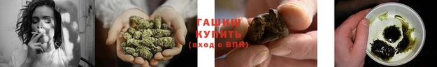 эйфоретик Баксан