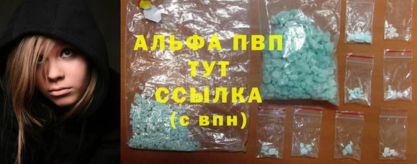 эйфоретик Баксан