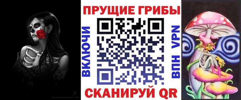 Галлюциногенные грибы Psilocybine cubensis  Соль-Илецк 