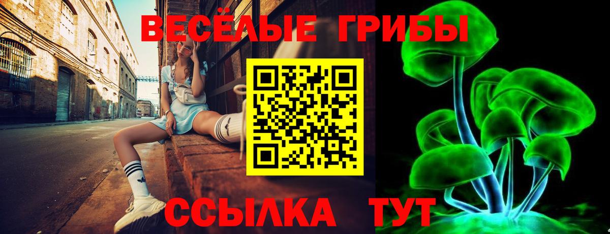Псилоцибиновые грибы прущие грибы Соль-Илецк
