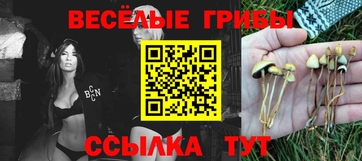 Псилоцибиновые грибы мухоморы  Вход с VPN  Соль-Илецк 
